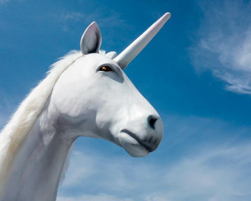 ¿Qué son las empresas llamadas “unicornio”